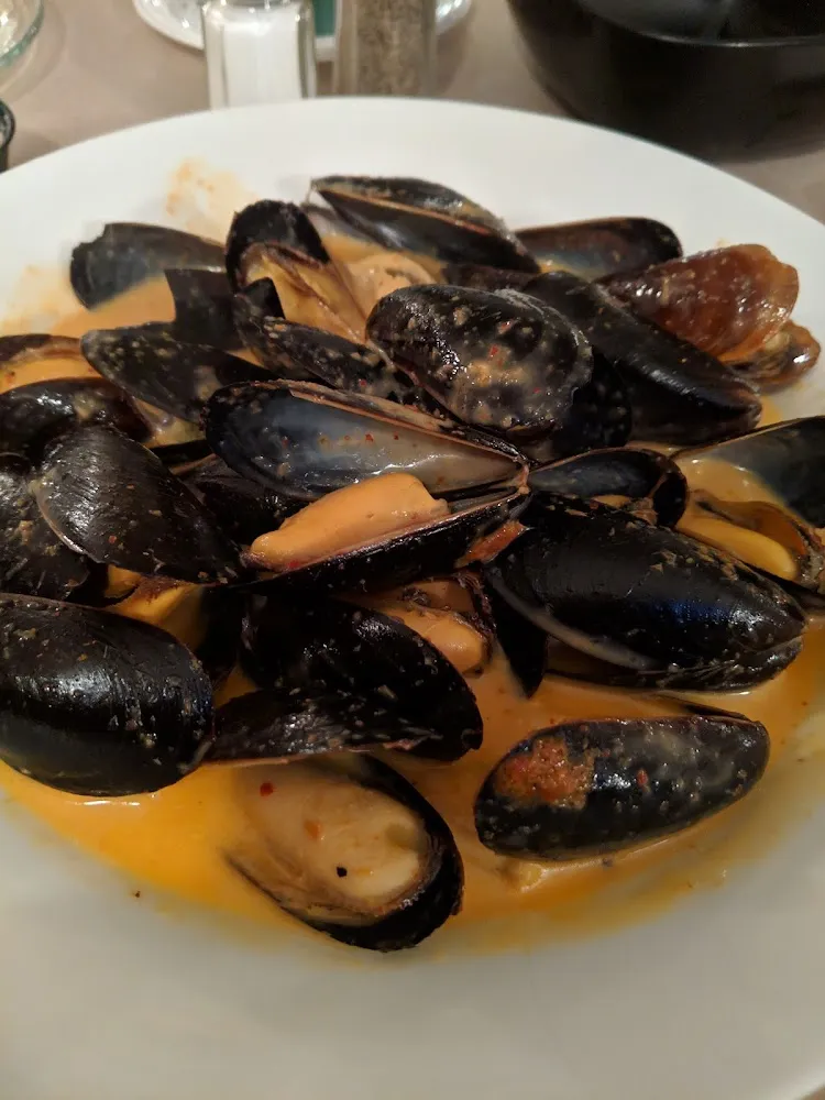 Mussels